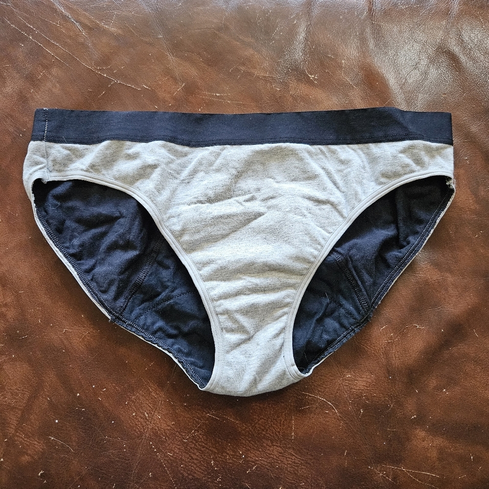 Thinx Organic Cotton Bikini, Large